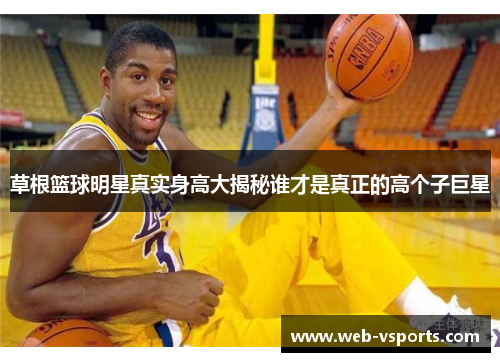 草根篮球明星真实身高大揭秘谁才是真正的高个子巨星
