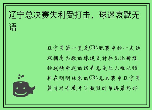 辽宁总决赛失利受打击，球迷哀默无语